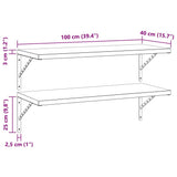 Wall Shelves 2 pcs 100x40 cm Silver Stainless Steel - Extra Image