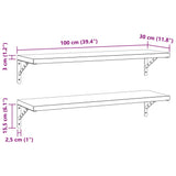 Wall Shelves 2 pcs 100x30 cm Silver Stainless Steel - Extra Image