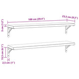 Wall Shelves 2 pcs 100x23.5 cm Silver Stainless Steel - Extra Image