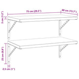 Wall Shelves 2 pcs 75x40 cm Silver Stainless Steel