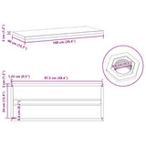 Wall Shelves 2 pcs 100x40 cm Silver Stainless Steel - Extra Image