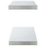 Wall Shelves 2 pcs 100x23.5 cm Silver Stainless Steel
