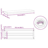 Wall Shelves 2 pcs 75x23.5 cm Silver Stainless Steel