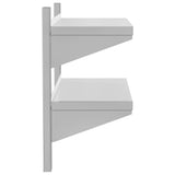 2-Tier Wall Shelf 75x30x60 cm Silver Stainless Steel - Rear View