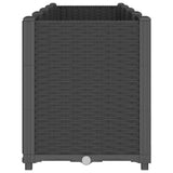 Garden Planter Black 160x40x53 cm PP - Top-Down View