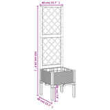 Garden Planter with Trellis Black 40x40x142 cm PP