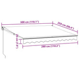 Retractable Awning Anthracite and White 3x2,5 m Fabric&Aluminium