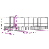 Aviary with Extension Silver 725x307x212 cm Steel