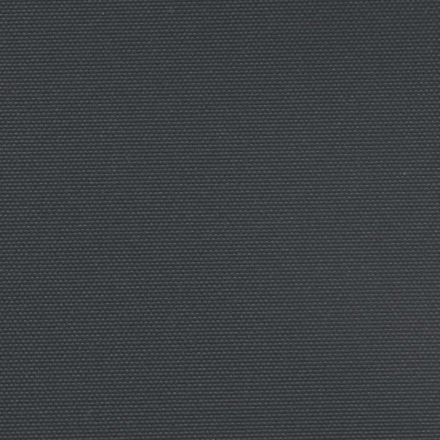 Retractable Side Awning Black 100x300 cm