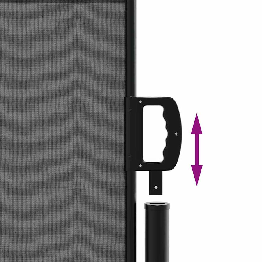 Retractable Side Awning Anthracite 100x300 cm