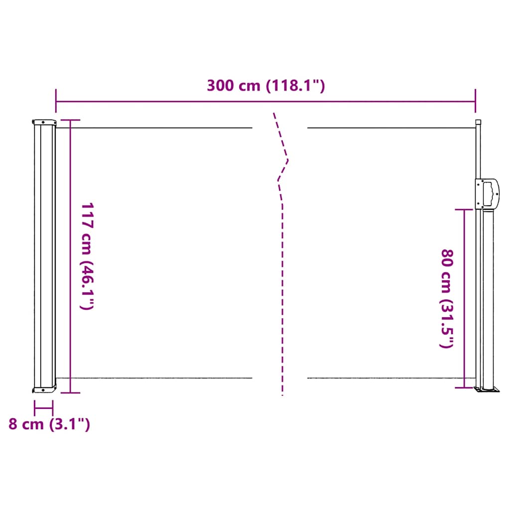 Retractable Side Awning Black 117x300 cm