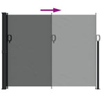 Retractable Side Awning Anthracite 160x300 cm