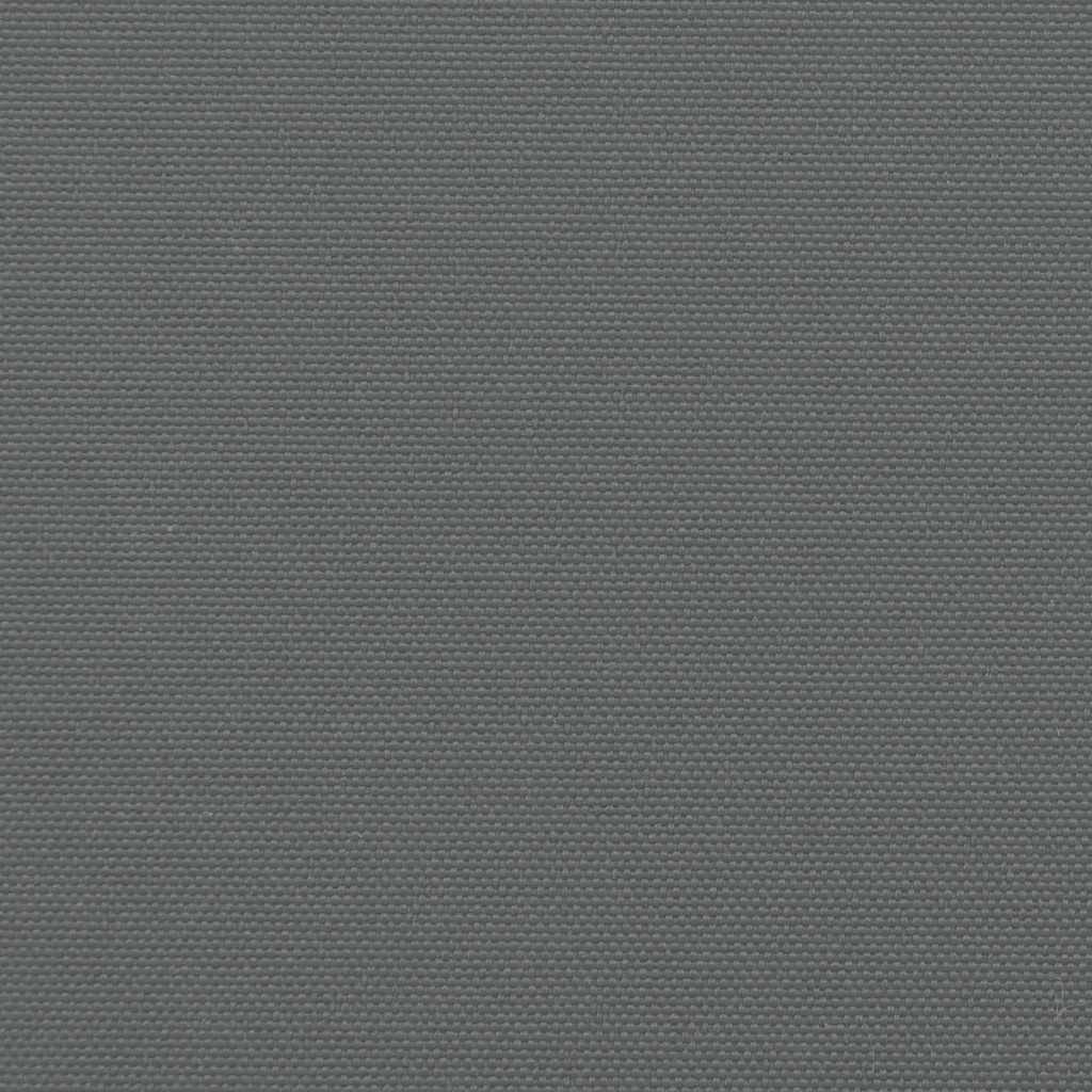 Retractable Side Awning Anthracite 160x300 cm