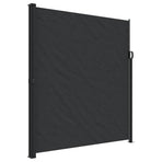 Retractable Side Awning Black 220x300 cm