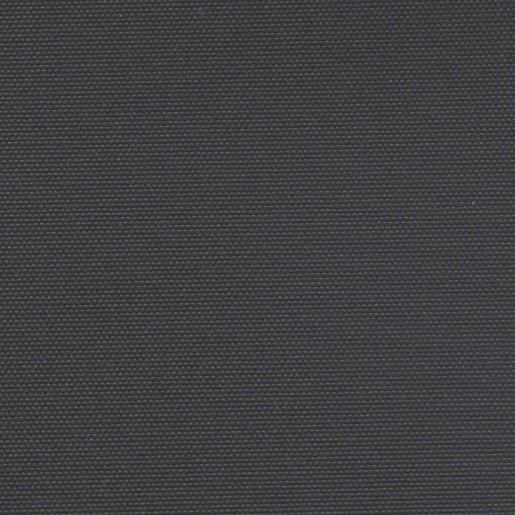 Retractable Side Awning Black 220x300 cm