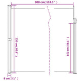 Retractable Side Awning Black 220x300 cm
