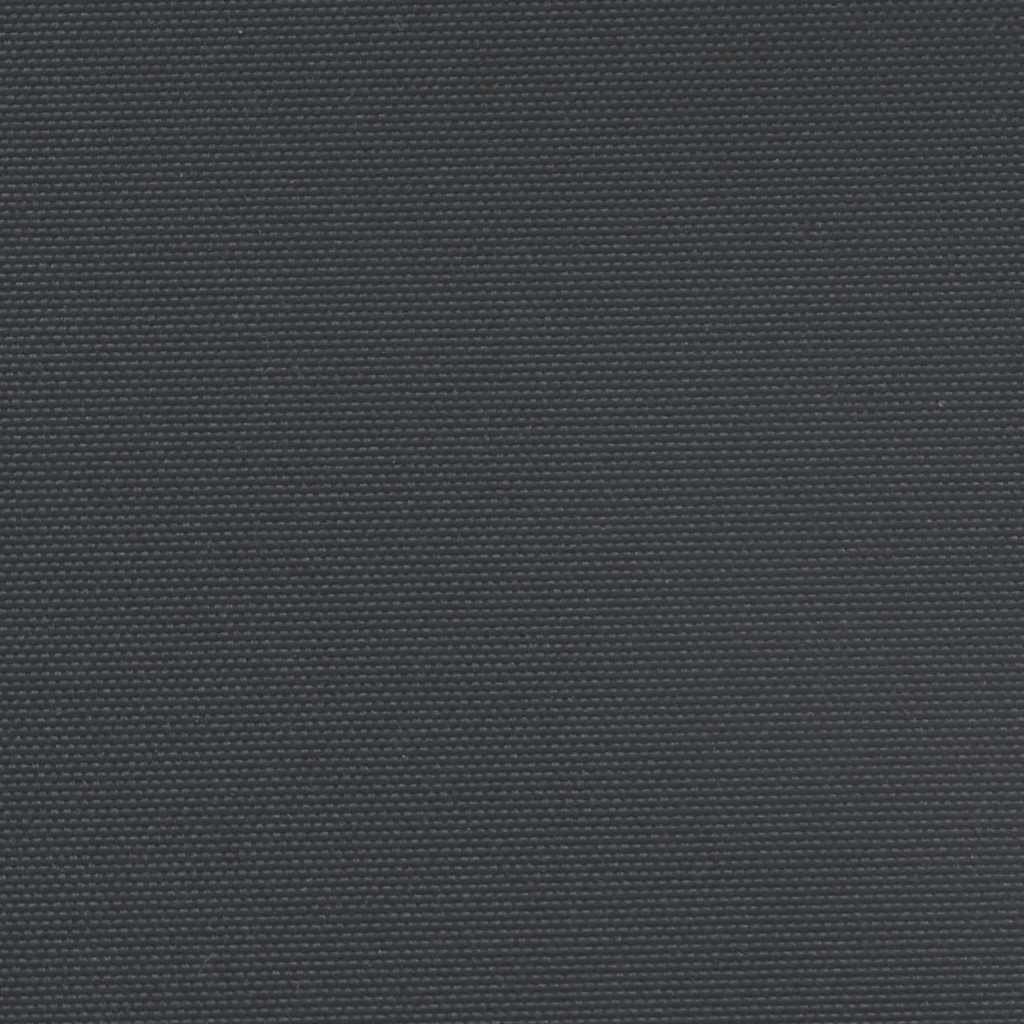 Retractable Side Awning Black 160x500 cm