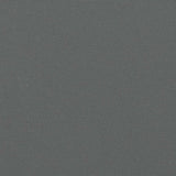 Retractable Side Awning Anthracite 200x500 cm