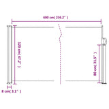 Retractable Side Awning Black 120x600 cm