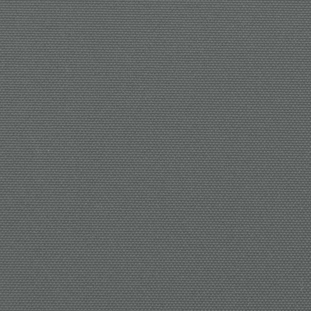 Retractable Side Awning Anthracite 120x600 cm