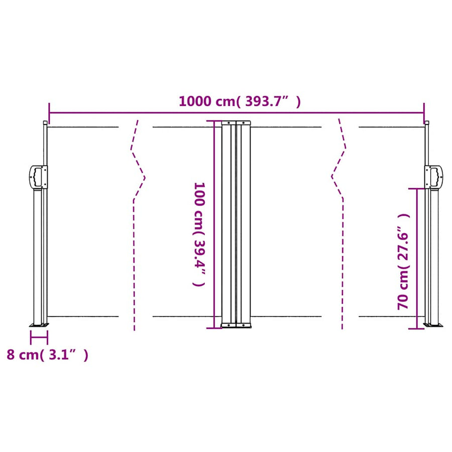 Retractable Side Awning Black 100x1000 cm