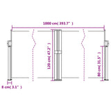 Retractable Side Awning Black 120x1000 cm