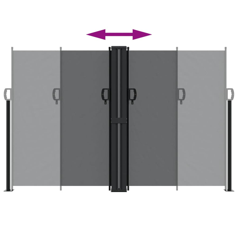 Retractable Side Awning Black 160x1000 cm