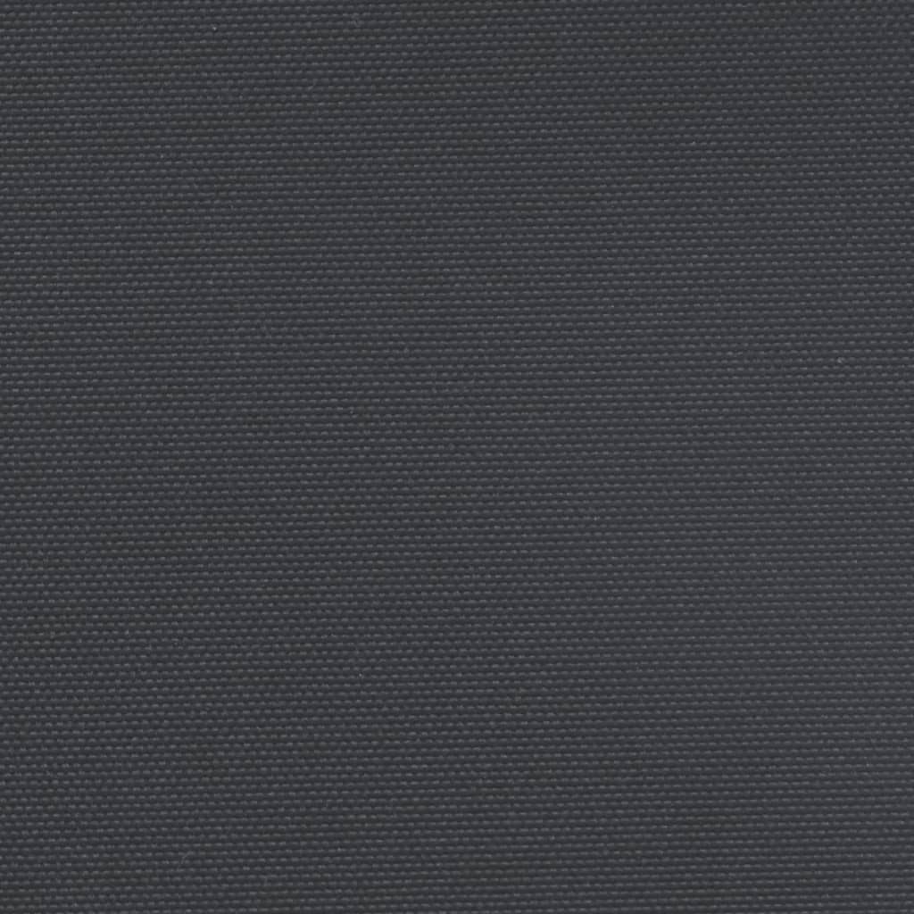 Retractable Side Awning Black 200x1000 cm