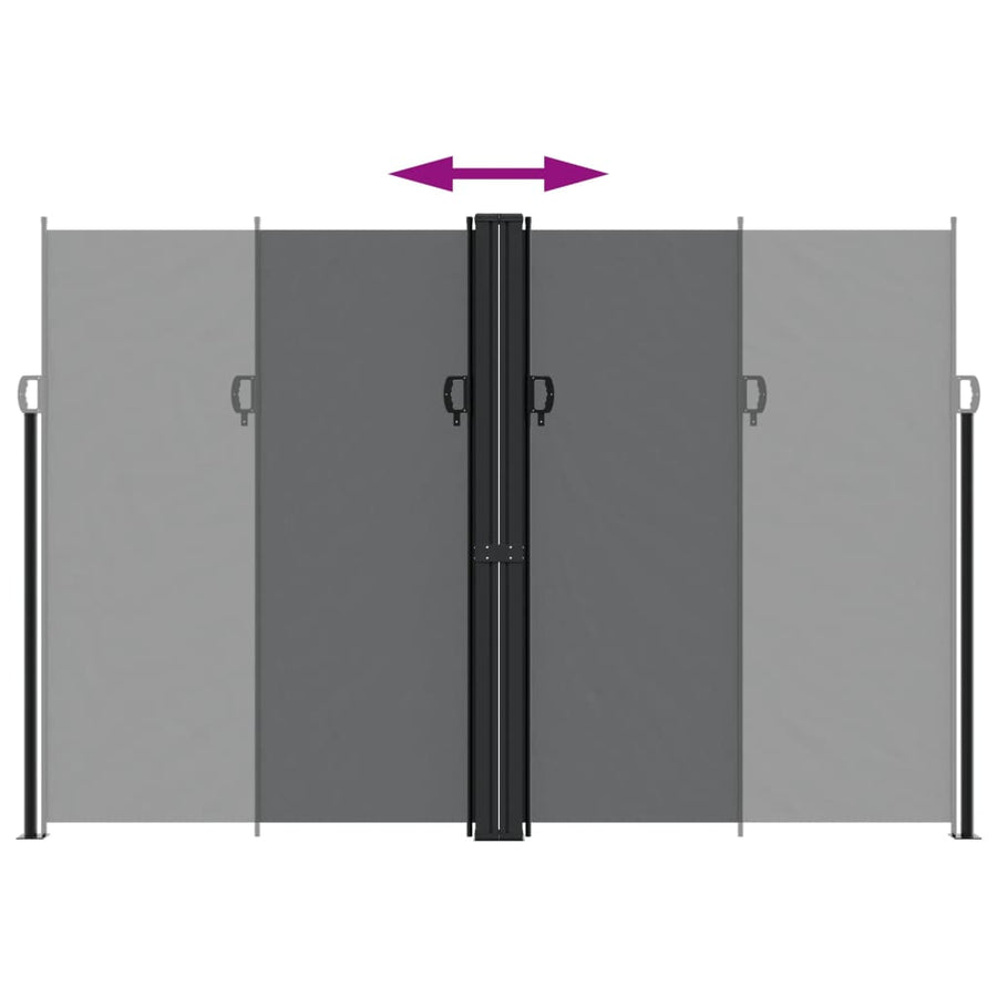 Retractable Side Awning Black 220x1000 cm