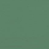 Foldable Party Tent Pop-Up with 4 Sidewalls Green