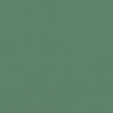 Foldable Party Tent Pop-Up with 4 Sidewalls Green - Extra Image