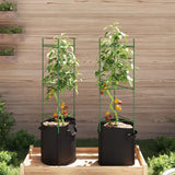 Tomato Cage with Plant Bag 2 pcs 116 cm Steel and PP - Side View