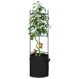 Tomato Cage with Plant Bag 2 pcs 116 cm Steel and PP