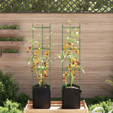 Tomato Cage with Plant Bag 2 pcs 154 cm Steel and PP - Side View