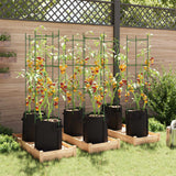 Tomato Cages with Plant Bags 6 pcs 154 cm Steel and PP - Side View