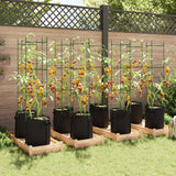 Tomato Cages with Plant Bags 8 pcs 154 cm Steel and PP - Side View