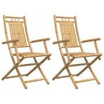 Folding Chairs 2 pcs 53x66x99 cm Bamboo