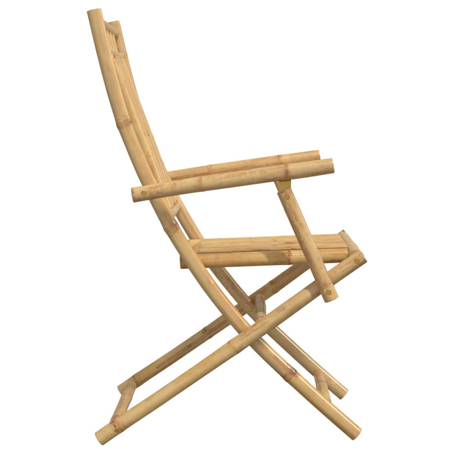 Folding Chairs 2 pcs 53x66x99 cm Bamboo