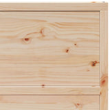 Barn Door 100x208 cm Solid Wood Pine - Low Angle
