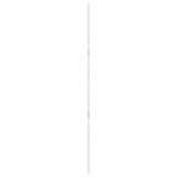 Barn Door White 100x208 cm Solid Wood Pine - 45-Degree Angle