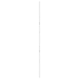 Barn Door White 100x208 cm Solid Wood Pine