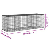 Gabion Basket with Cover 300x100x100 cm Galvanised Iron