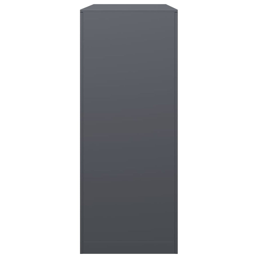 Firewood Rack Anthracite 100x40x100 cm Steel