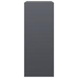 Firewood Rack Anthracite 60x40x100 cm Steel - 45-Degree Angle