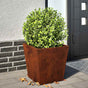 Garden Planters 2 pcs 40x40x40 cm Weathering Steel