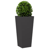Garden Planters 2 pcs Black 35x35x75 cm Steel - Top-Down View