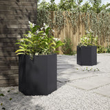 Garden Planters 2 pcs Black Hexagon 46x40x45 cm Steel