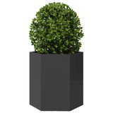 Garden Planters 2 pcs Black Hexagon 46x40x45 cm Steel