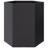 Garden Planters 2 pcs Black Hexagon 46x40x45 cm Steel - Close-Up Angle