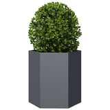 Garden Planters 2 pcs Anthracite Hexagon 46x40x45 cm Steel - 45-Degree Angle